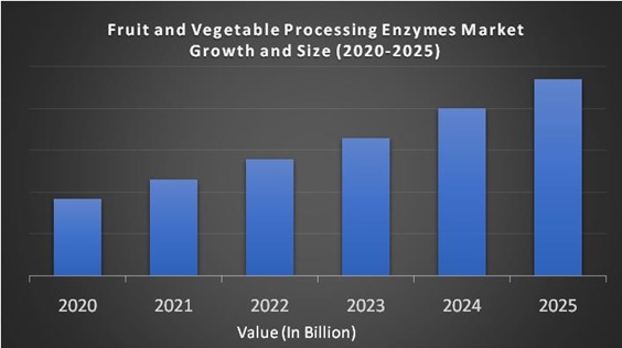 Fruit and Vegetable Processing Enzymes Market